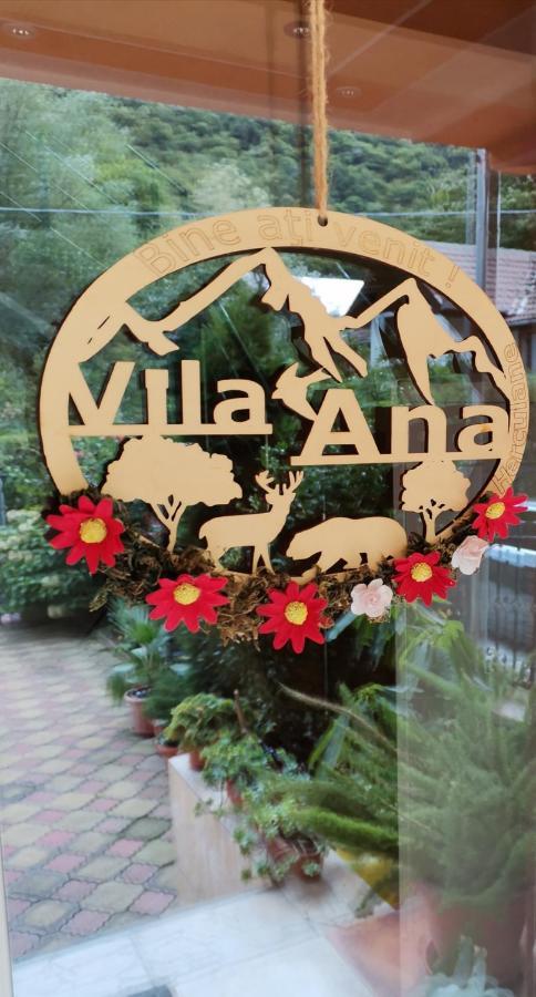 Vila Ana Băile Herculane Exteriér fotografie